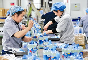 互聯(lián)網(wǎng)和實體融合助推烏魯木齊工業(yè)發(fā)展