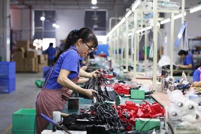 藏在魚缸里的&ldquo;藍(lán)海&rdquo;:拼多多&ldquo;千億扶持&rdquo;加速激活西部水族大市場(chǎng)